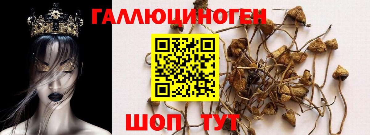 Галлюциногенные грибы мицелий Чистополь