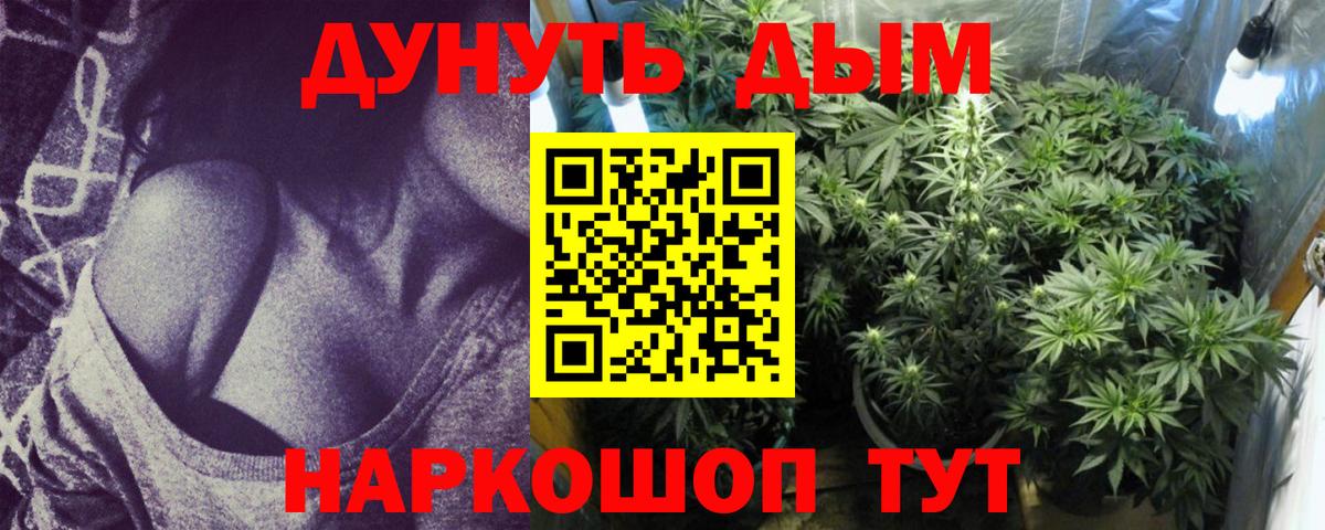 МАРИХУАНА тримм  Вход с VPN  Бошки Шишки LSD WEED  Конопля план  Чистополь 